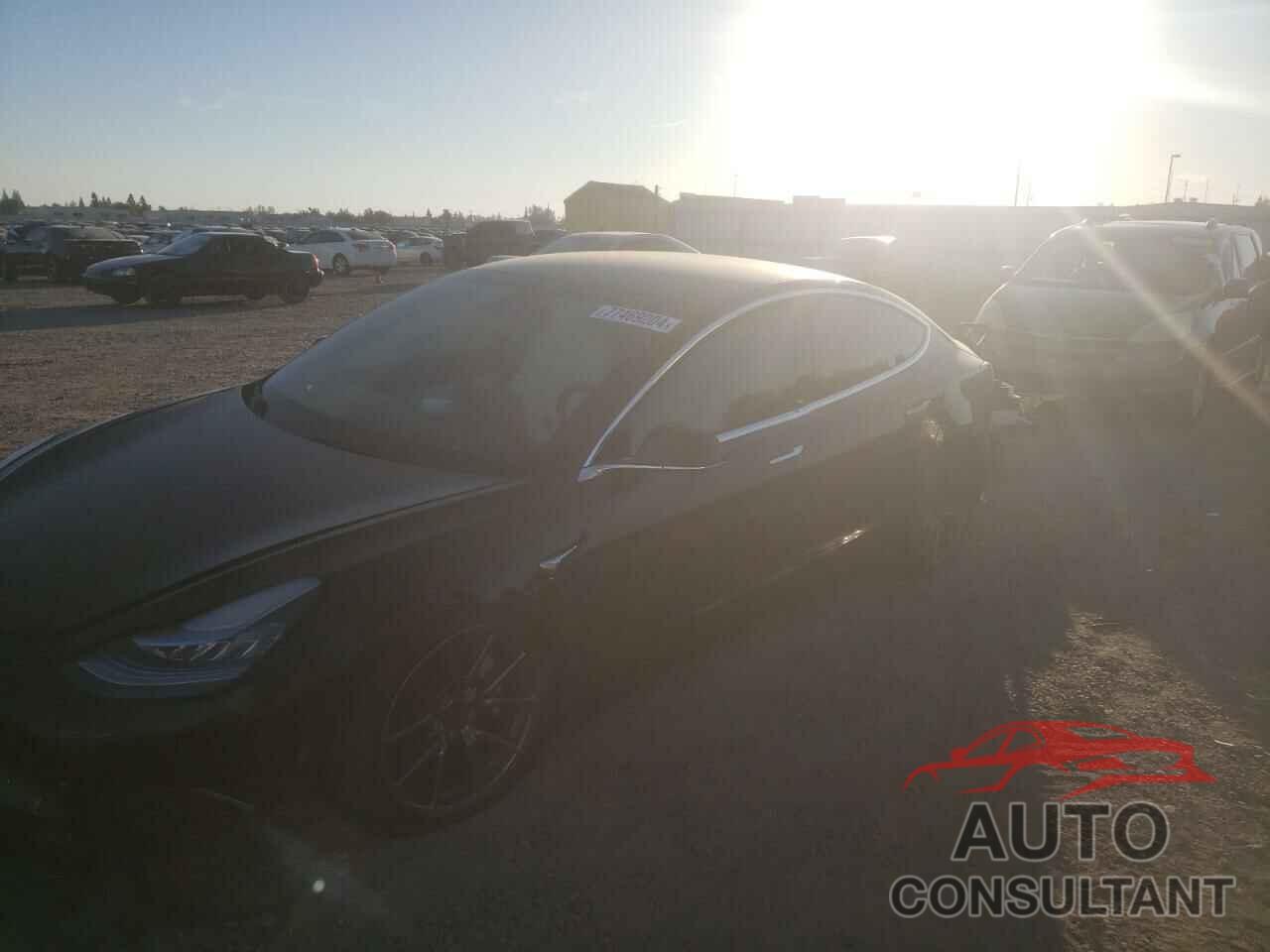 TESLA MODEL 3 2019 - 5YJ3E1EB9KF390602