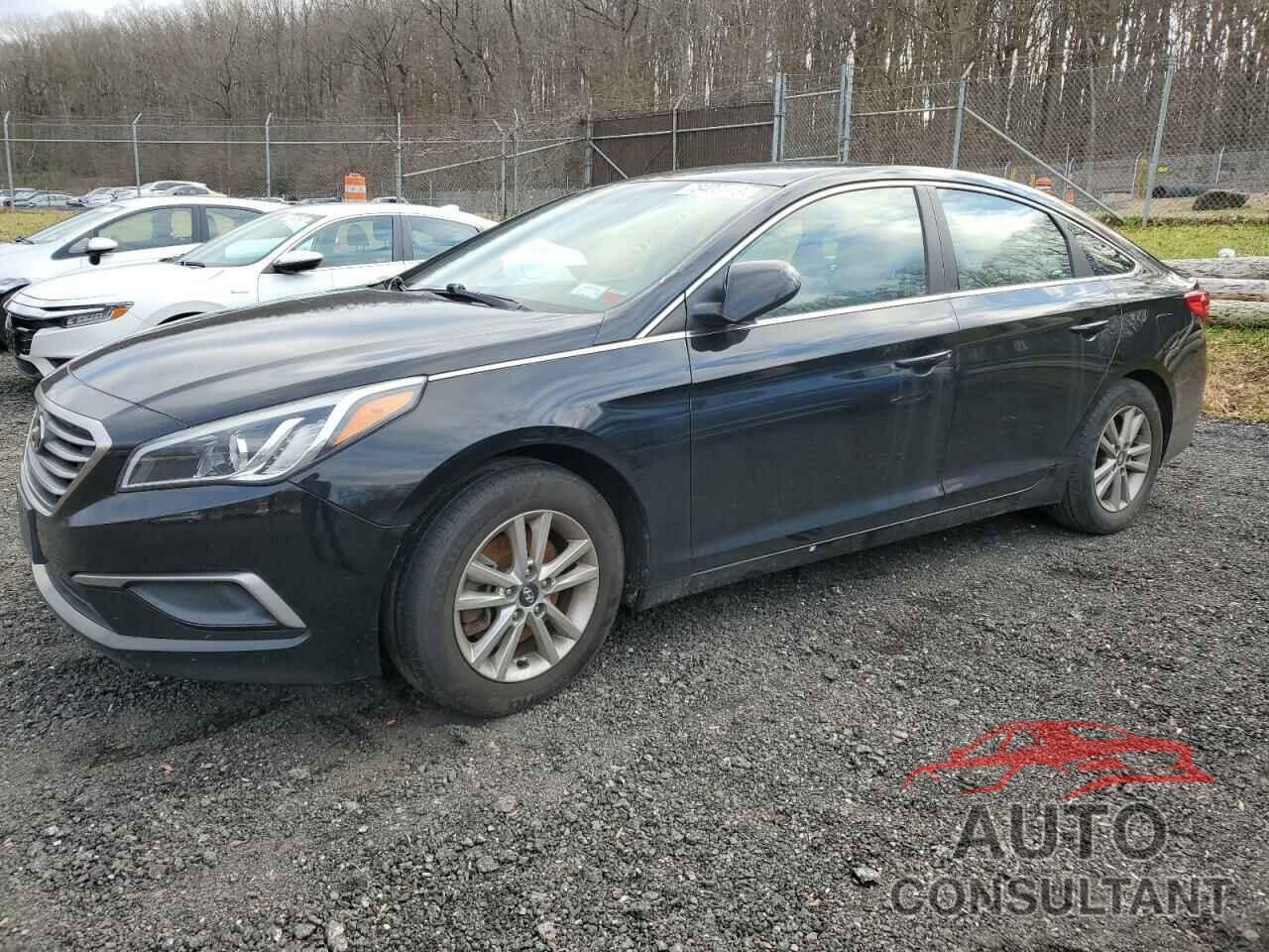 HYUNDAI SONATA 2017 - 5NPE24AF7HH555522