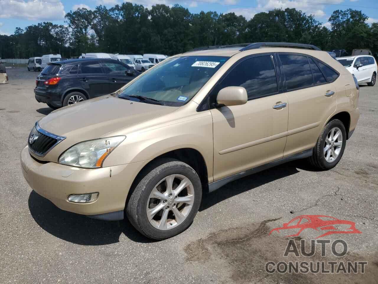LEXUS RX350 2009 - 2T2GK31U99C062331