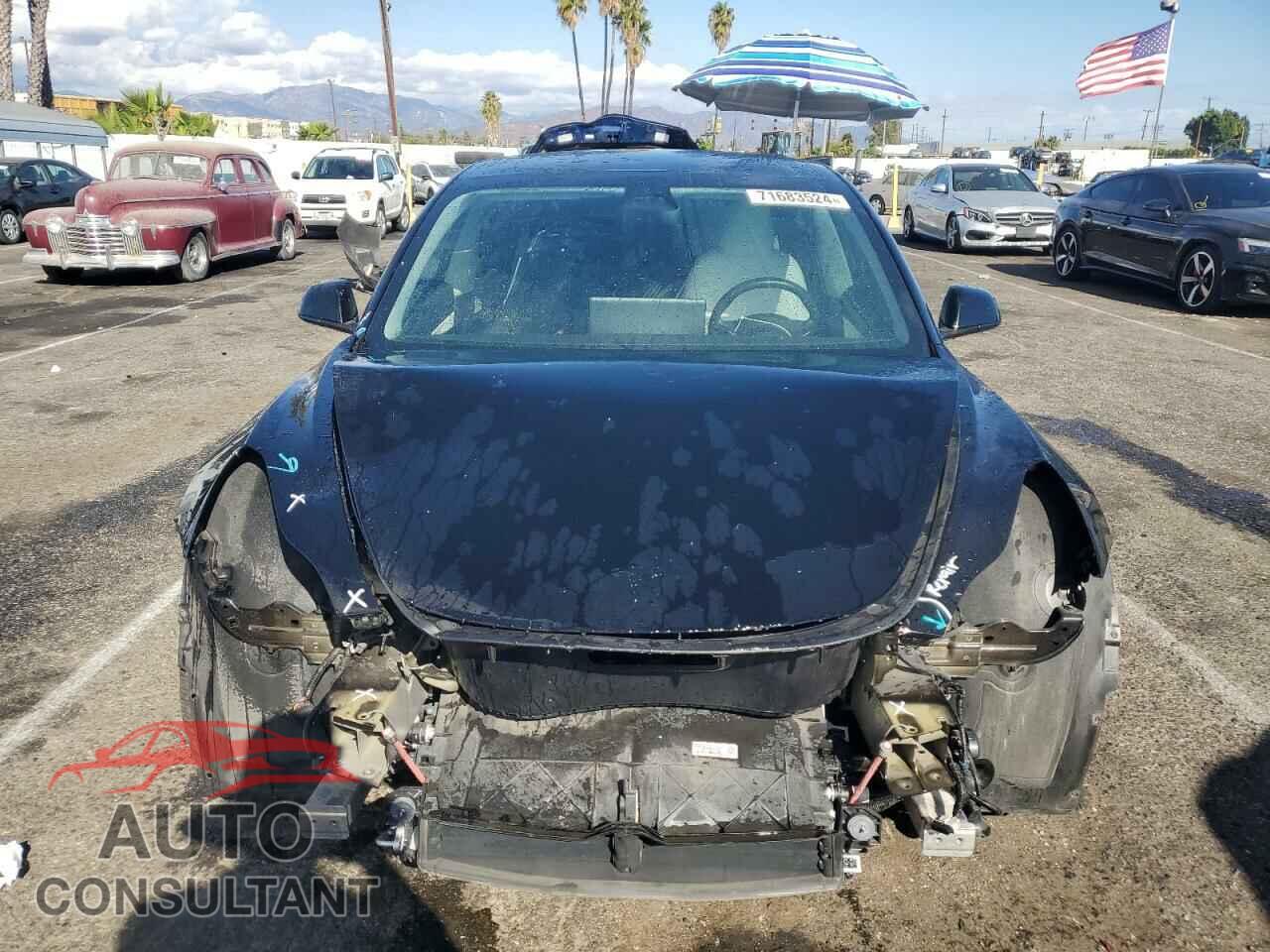 TESLA MODEL 3 2019 - 5YJ3E1EA0KF431948