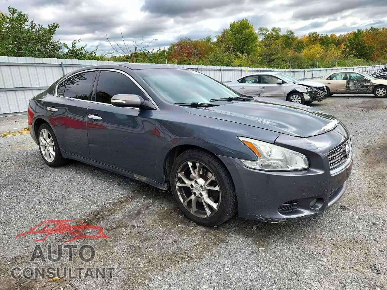 NISSAN MAXIMA 2013 - 1N4AA5AP5DC842417