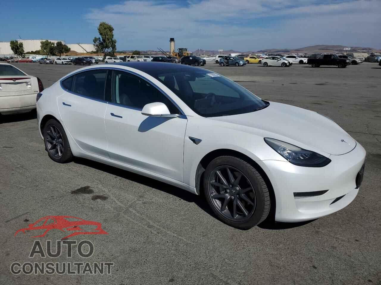TESLA MODEL 3 2019 - 5YJ3E1EA1KF190529