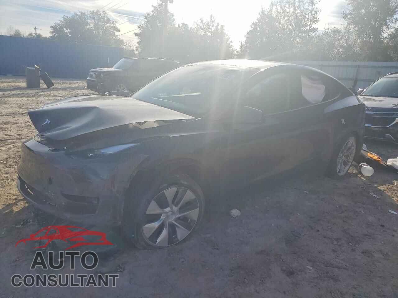 TESLA MODEL Y 2024 - 7SAYGDED3RF035232