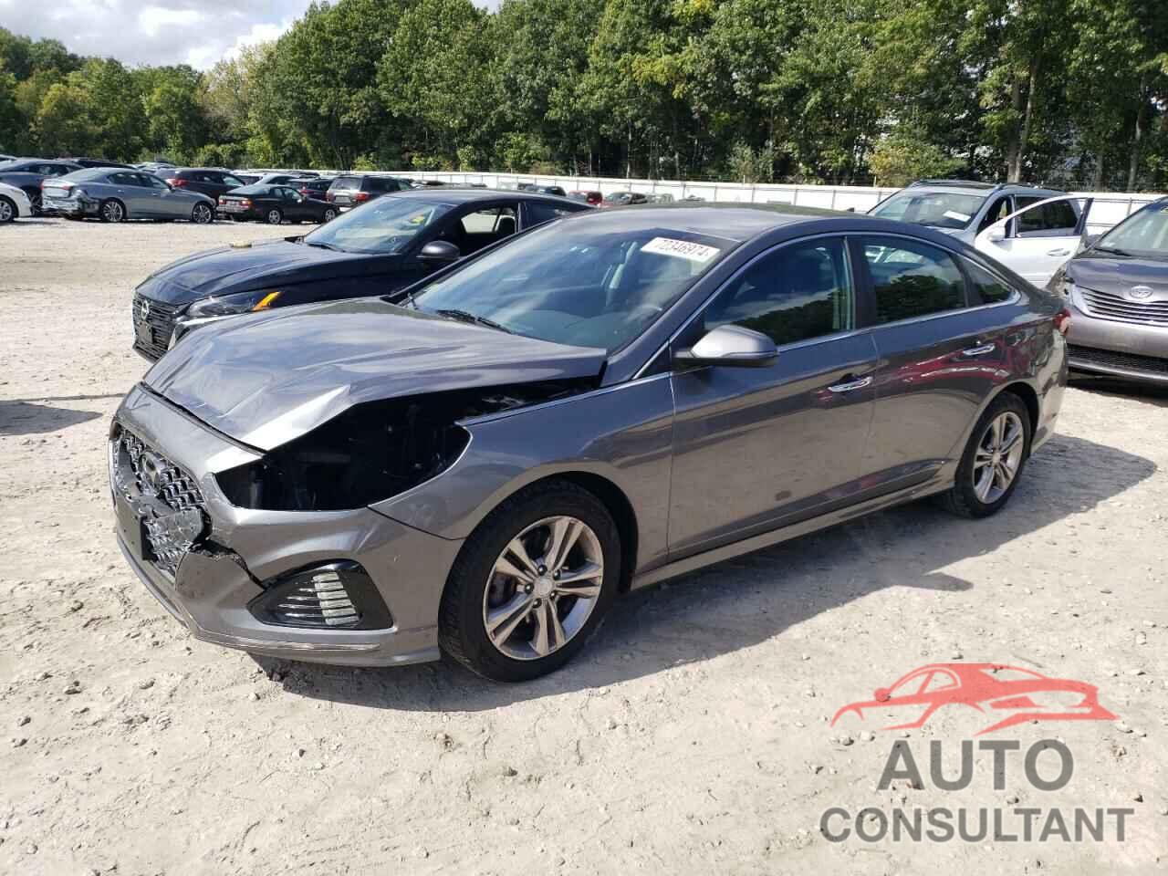 HYUNDAI SONATA 2019 - 5NPE34AF7KH736074