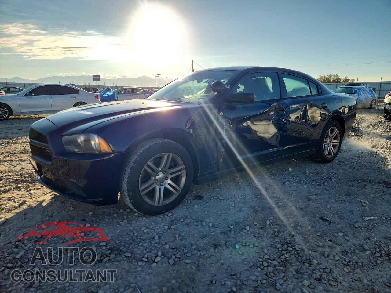 DODGE CHARGER 2014 - 2C3CDXAT3EH234854