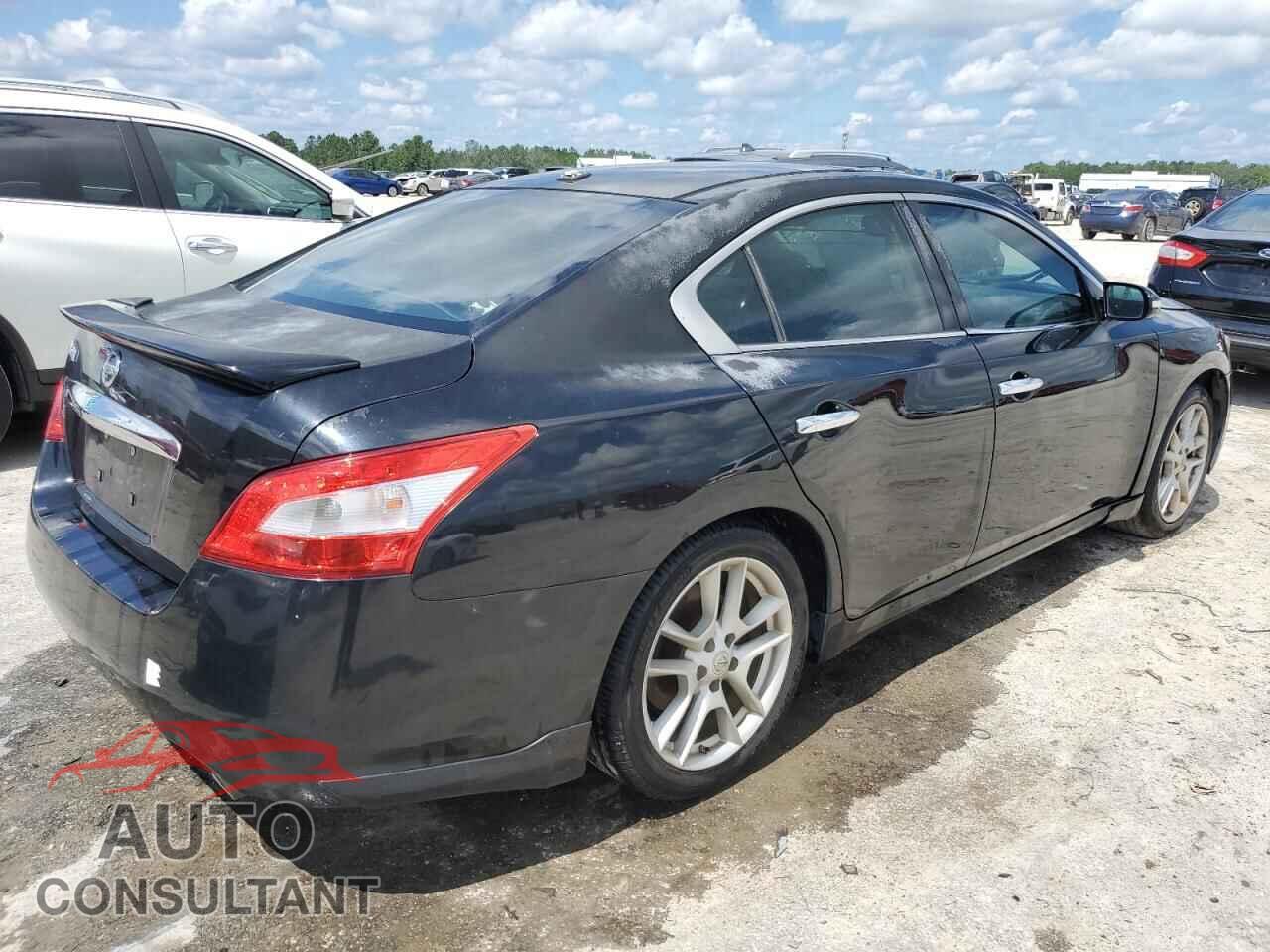NISSAN MAXIMA 2011 - 1N4AA5AP7BC845218