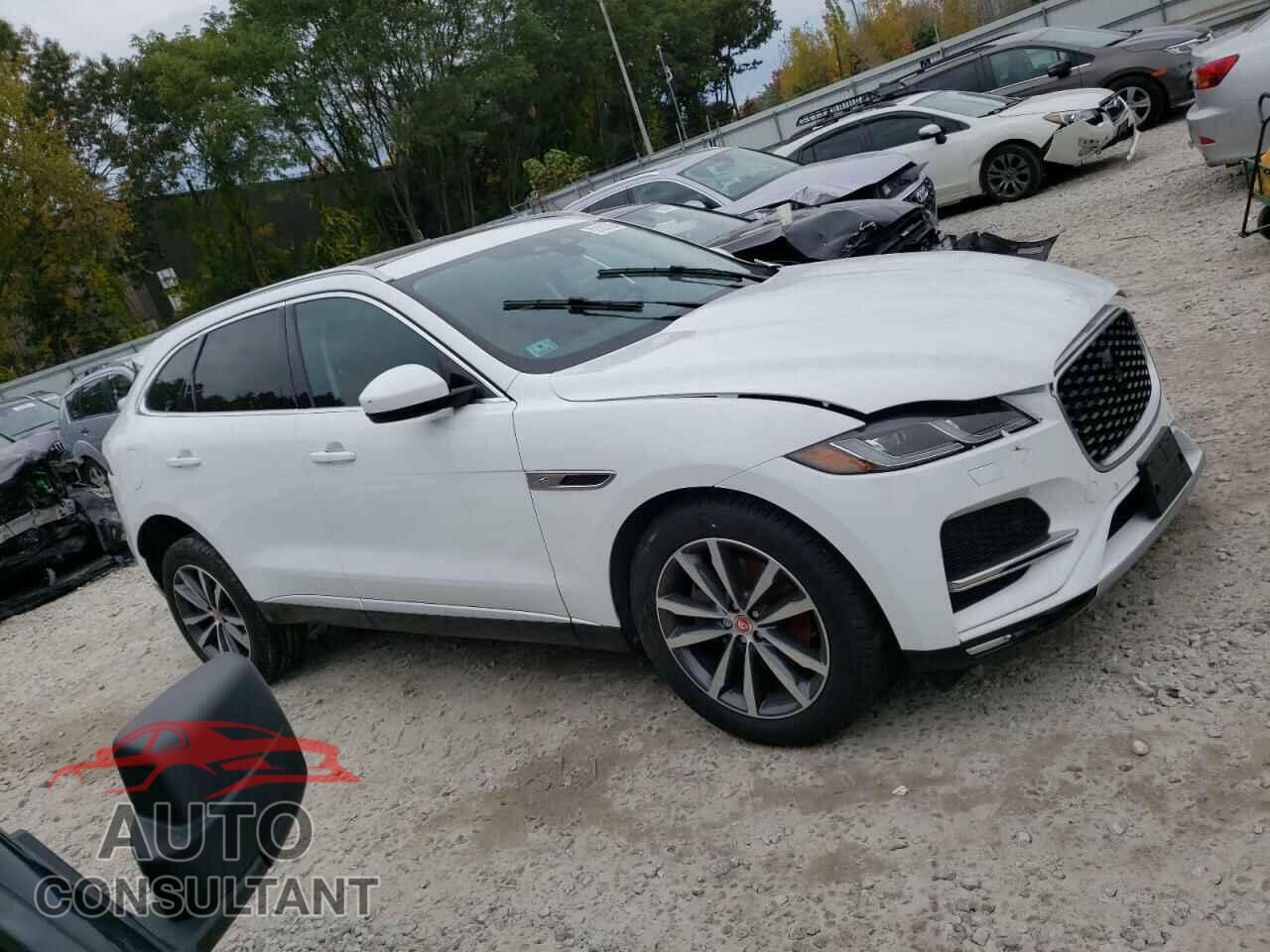 JAGUAR F-PACE 2022 - SADCJ2EXXNA701842