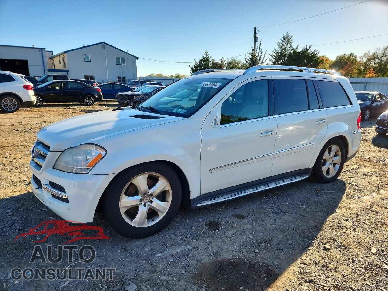 MERCEDES-BENZ GL-CLASS 2010 - 4JGBF7BE3AA608482