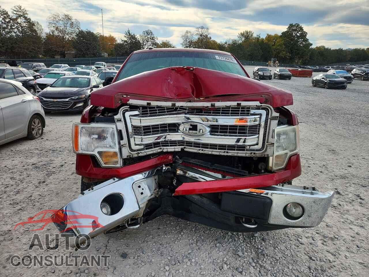 FORD F150 2013 - 1FTFW1EF3DFD99565