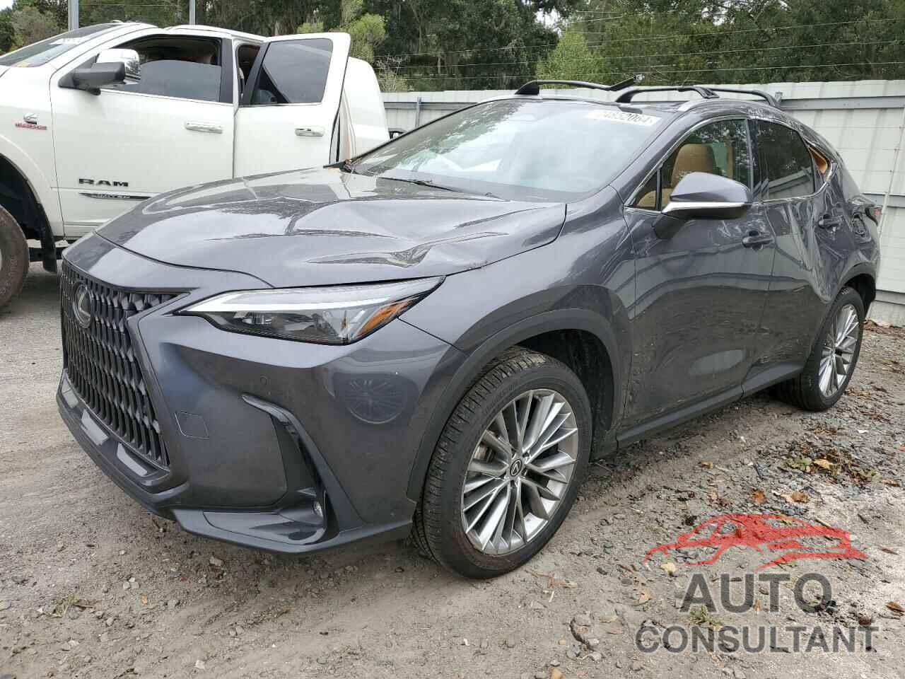 LEXUS NX 350H 2022 - 2T2GKCEZ8NC009023
