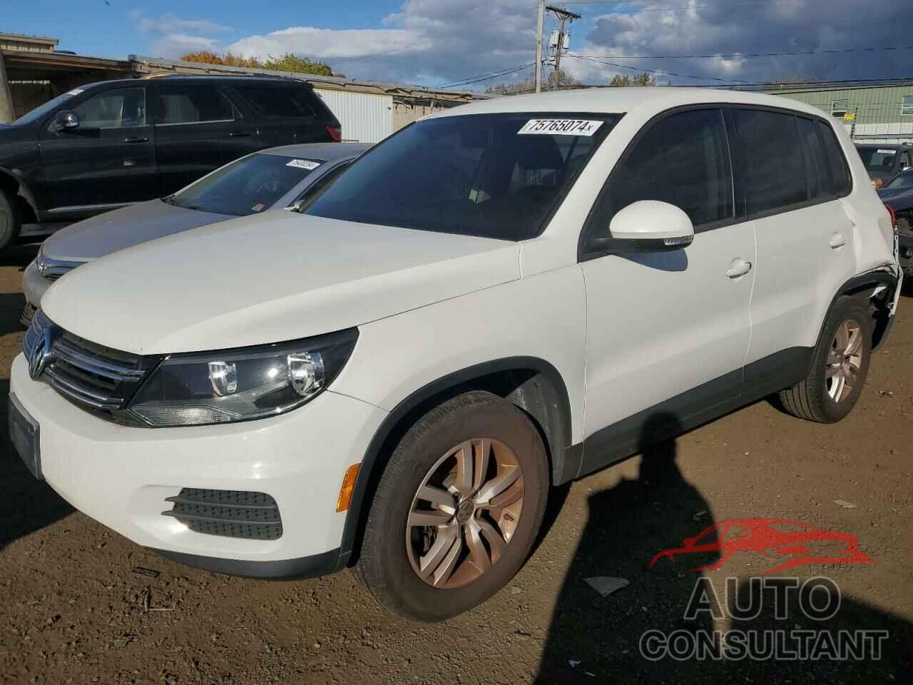 VOLKSWAGEN TIGUAN 2013 - WVGBV3AX7DW090236