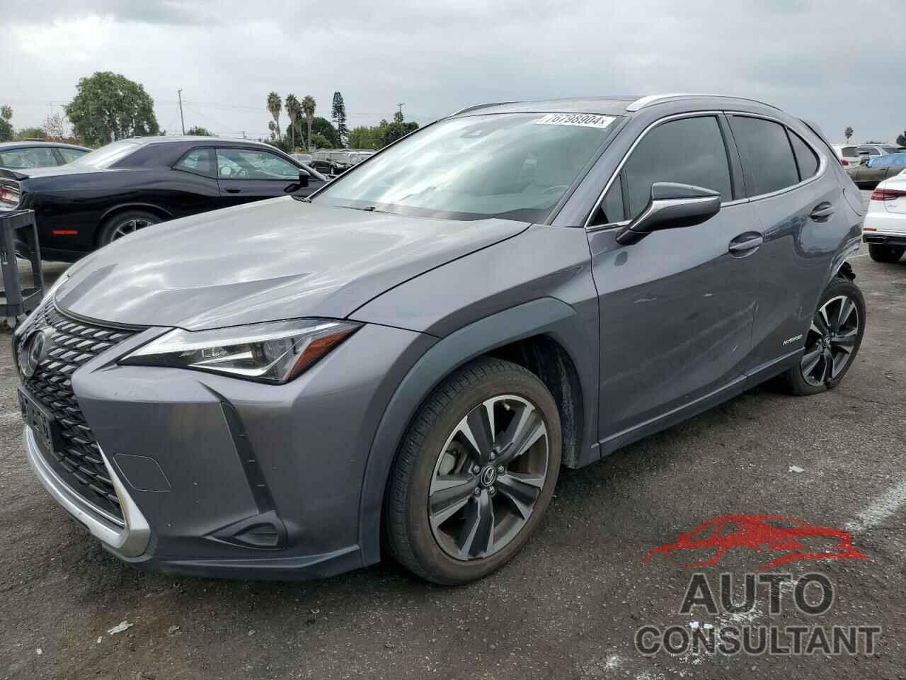 LEXUS UX 250H 2019 - JTHU9JBH4K2003974