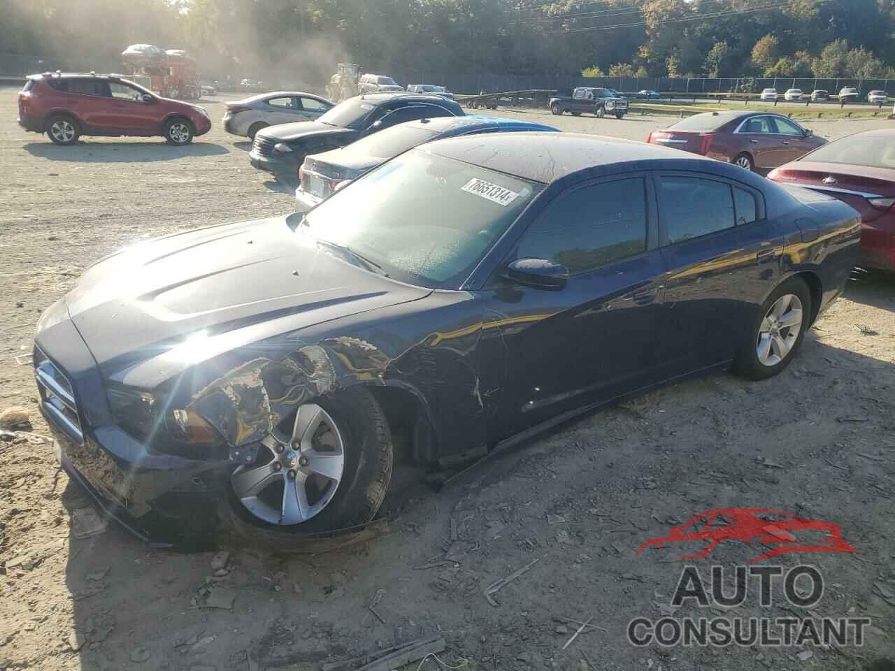 DODGE CHARGER 2014 - 2C3CDXBG7EH315194