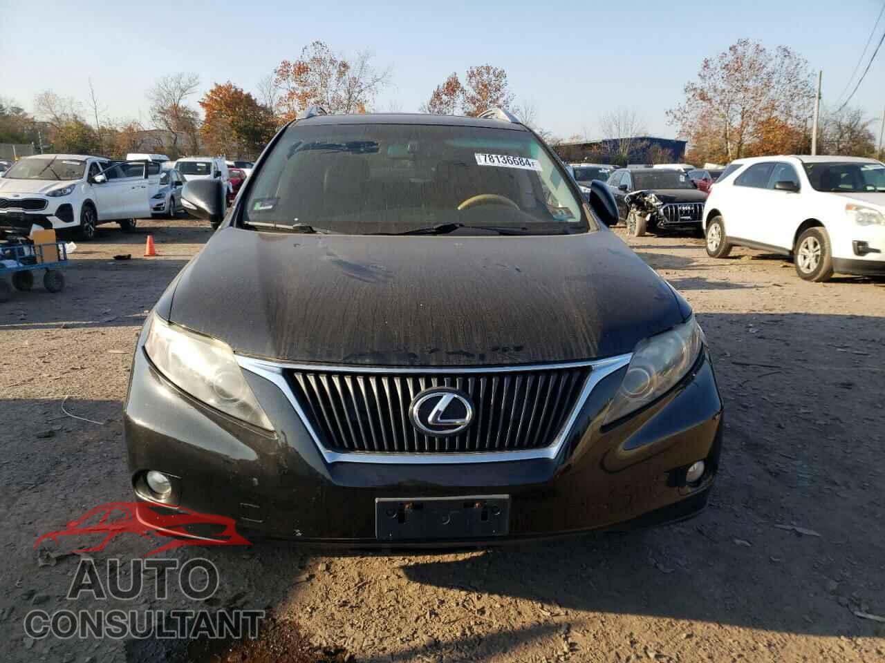 LEXUS RX350 2011 - 2T2BK1BA7BC093473