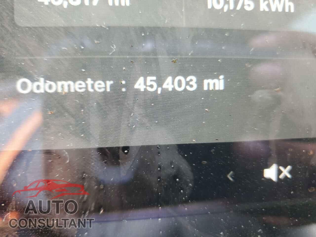 TESLA MODEL 3 2019 - 5YJ3E1EA5KF410013