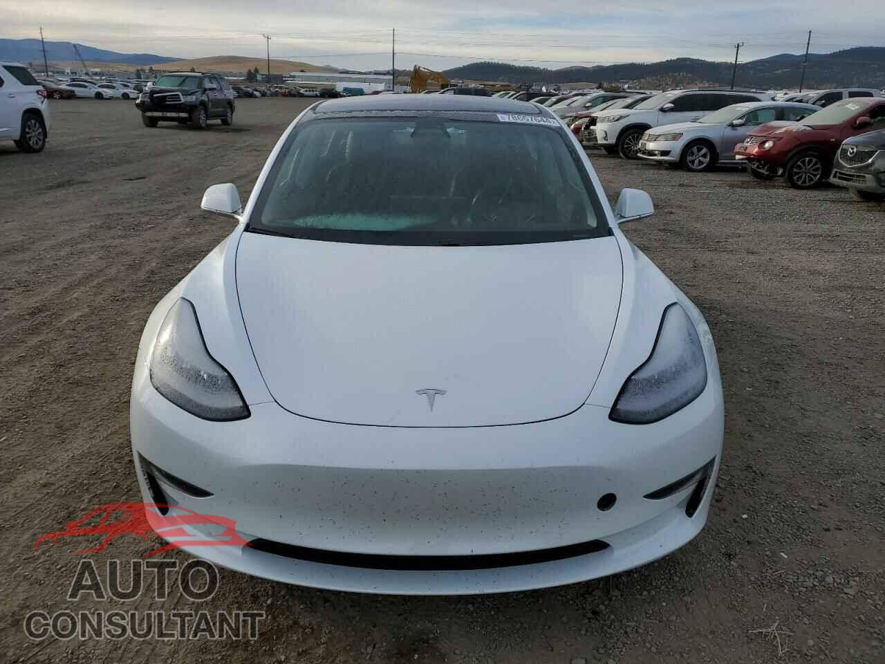 TESLA MODEL 3 2020 - 5YJ3E1EB5LF617818