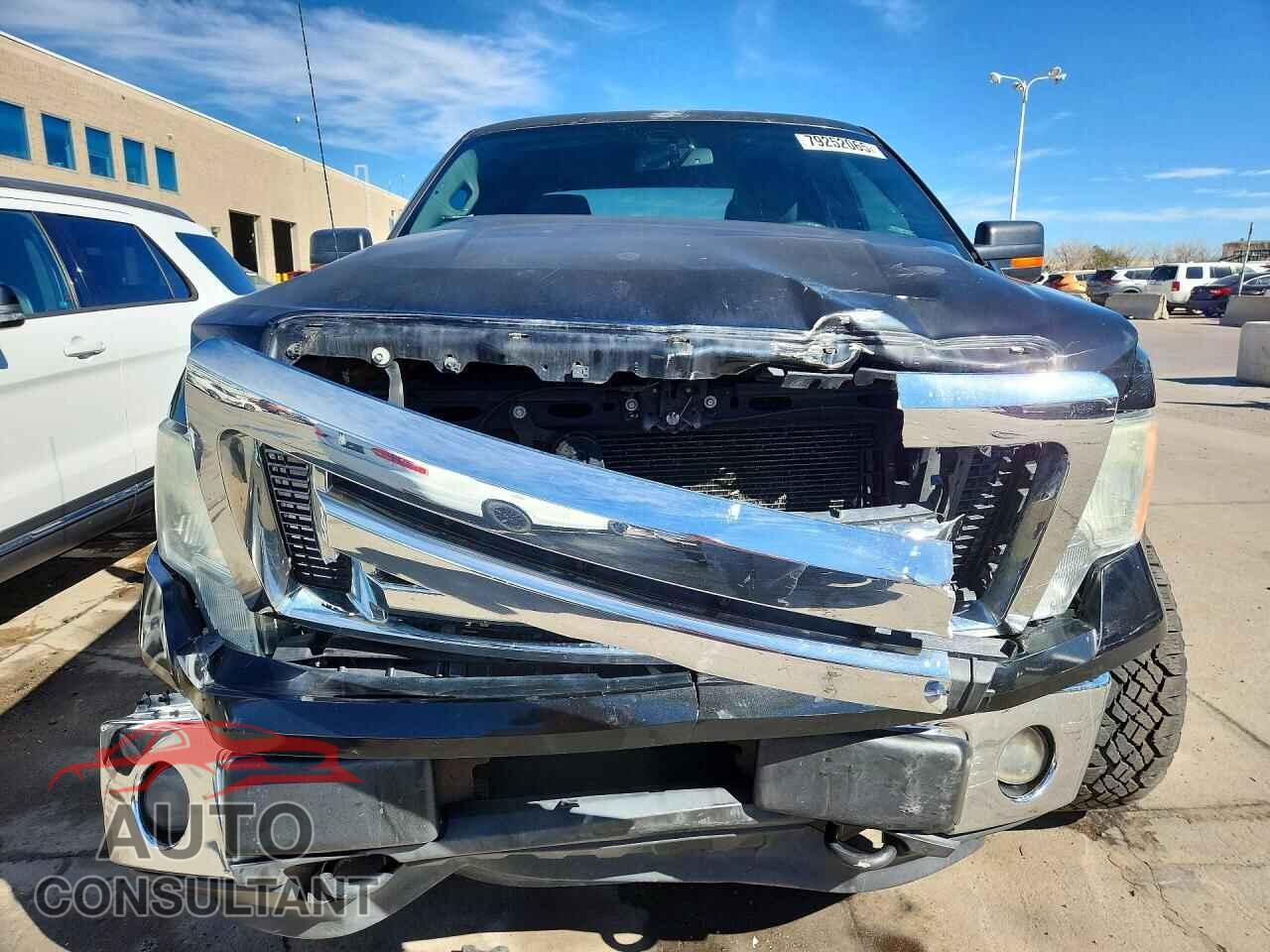 FORD F150 2011 - 1FTFX1EF2BKD11493