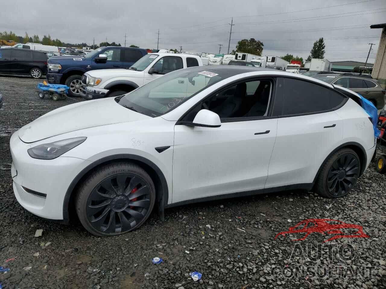 TESLA MODEL Y 2022 - 7SAYGDEF5NF539471