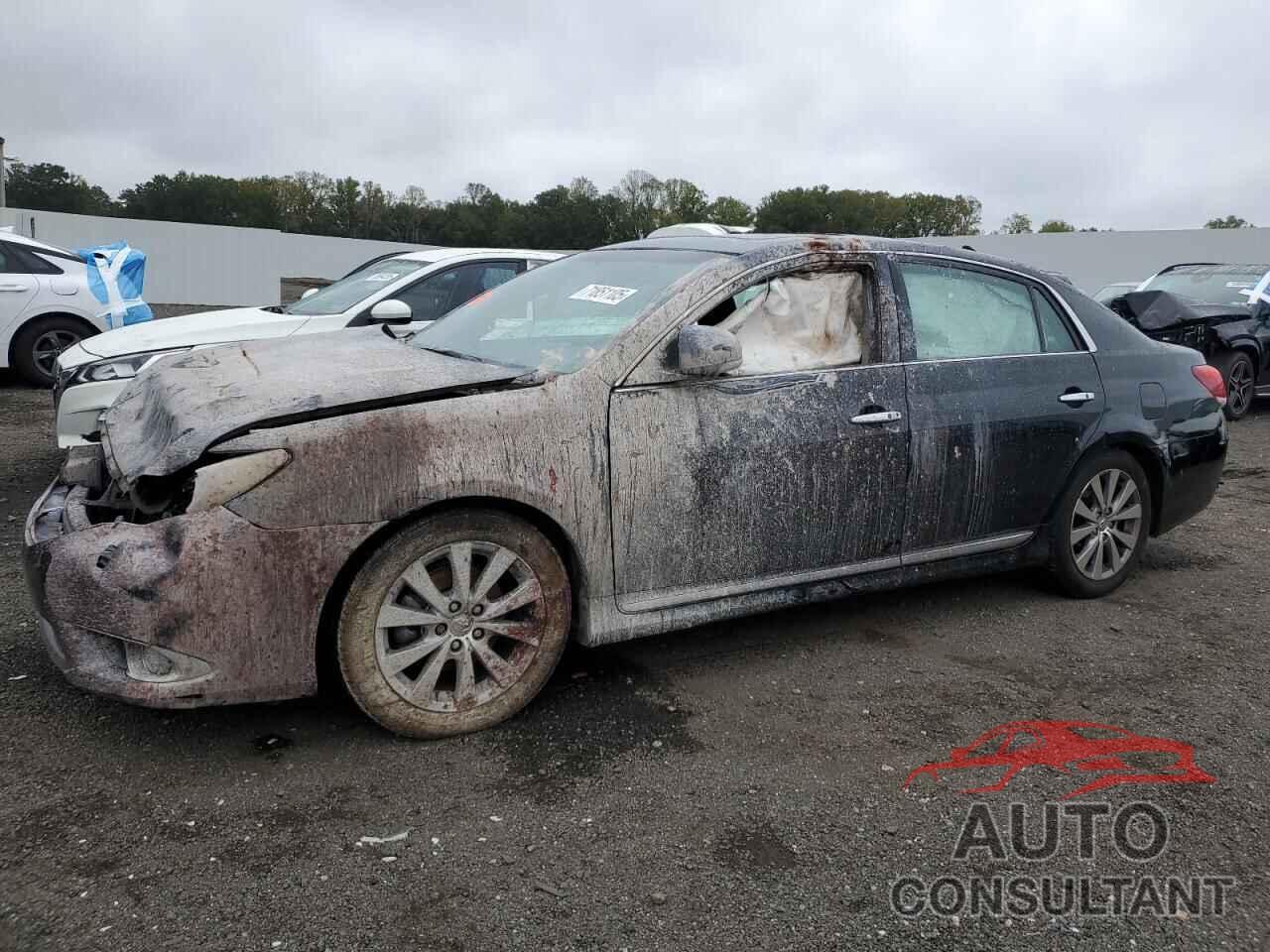 TOYOTA AVALON 2011 - 4T1BK3DB2BU376173