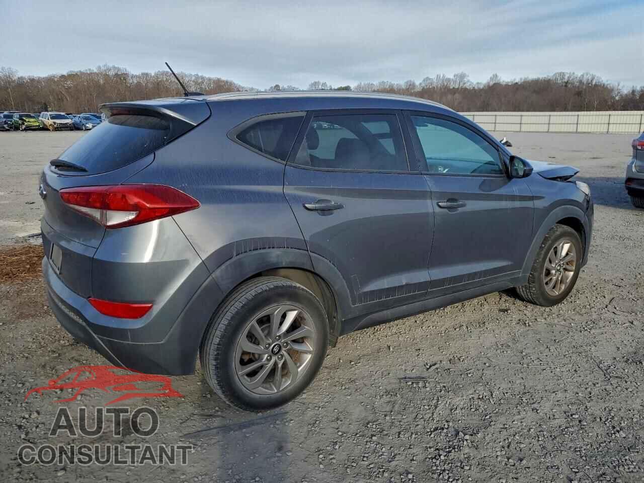 HYUNDAI TUCSON 2016 - KM8J33A43GU115530