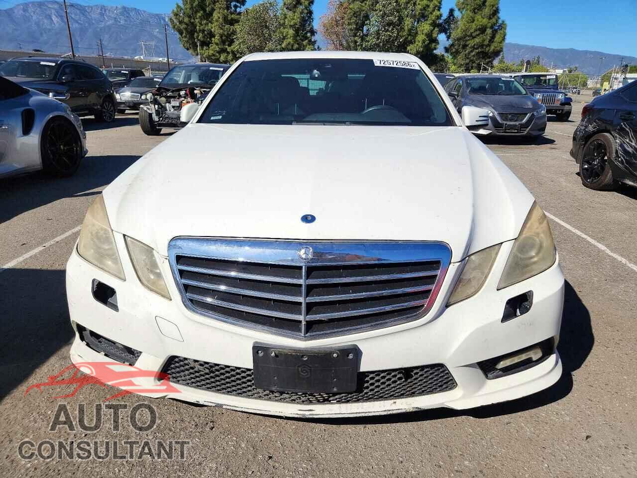 MERCEDES-BENZ E-CLASS 2010 - WDDHF7CB1AA120950