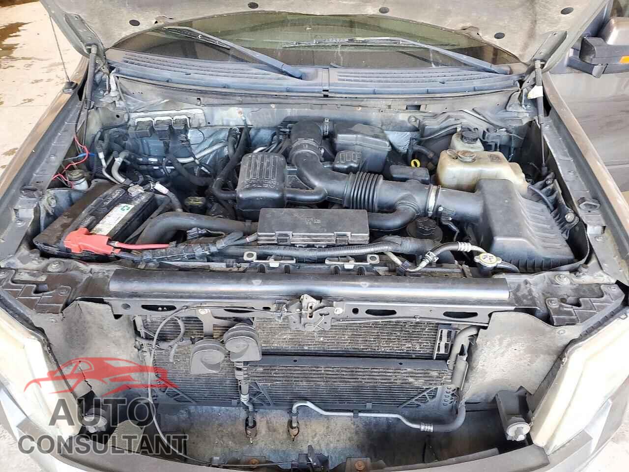 FORD F150 2010 - 1FTFX1EVXAFD07643