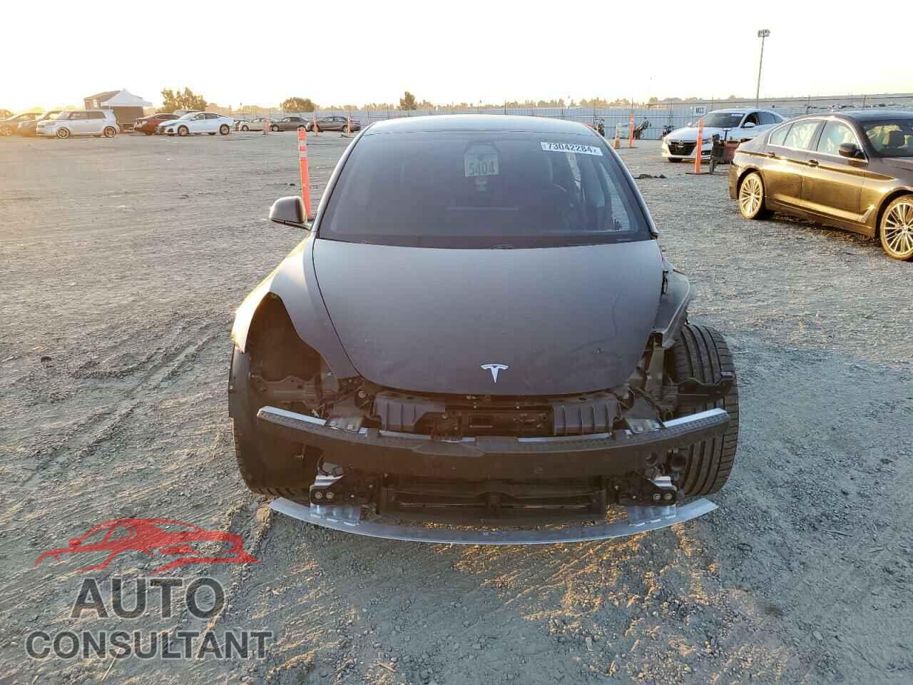 TESLA MODEL 3 2021 - 5YJ3E1EA5MF082272