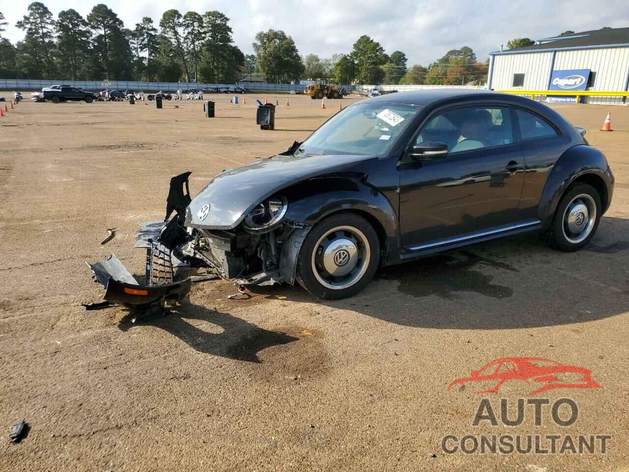 VOLKSWAGEN BEETLE 2016 - 3VWF17ATXGM636034