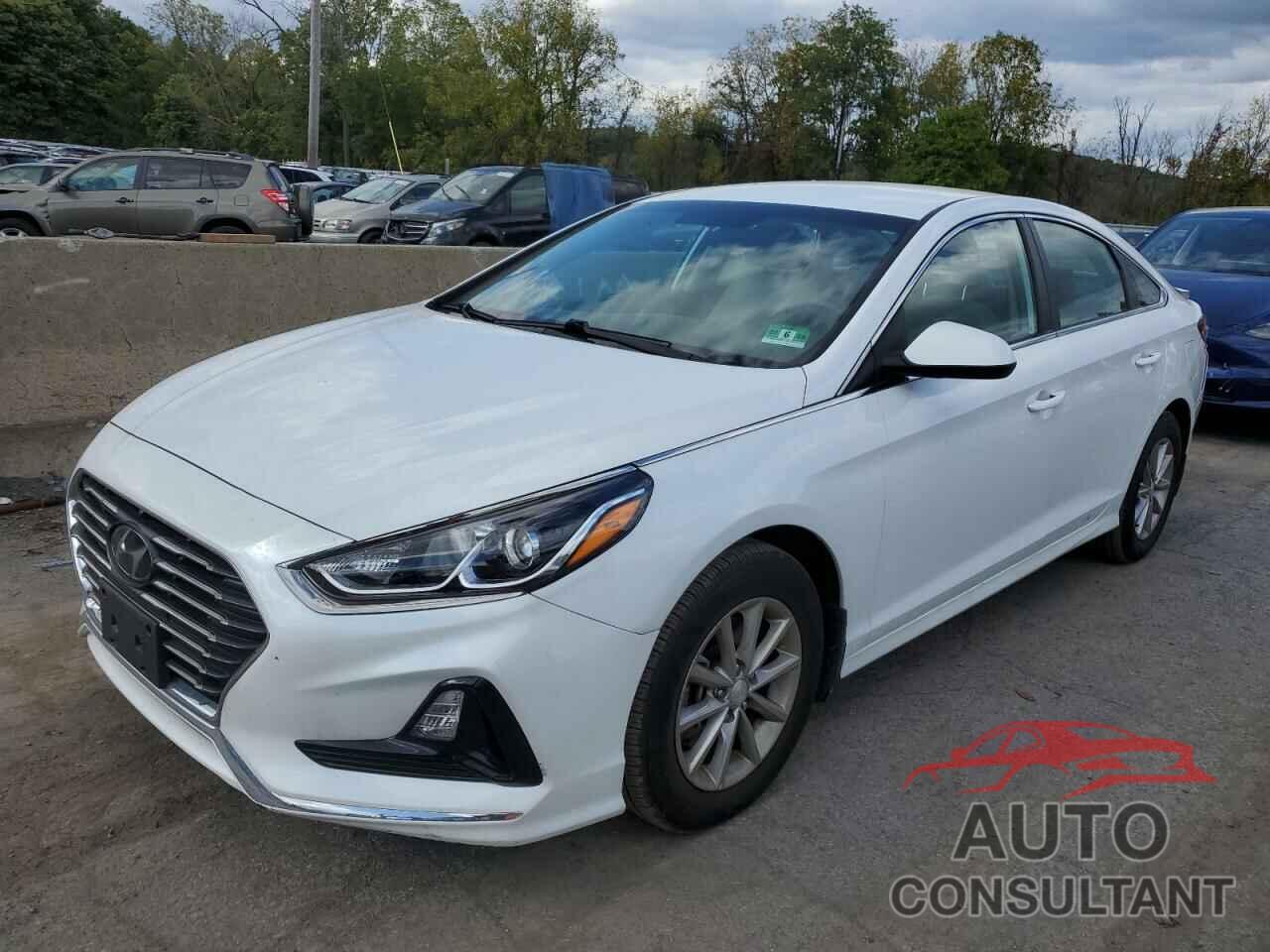 HYUNDAI SONATA 2019 - 5NPE24AF7KH799274