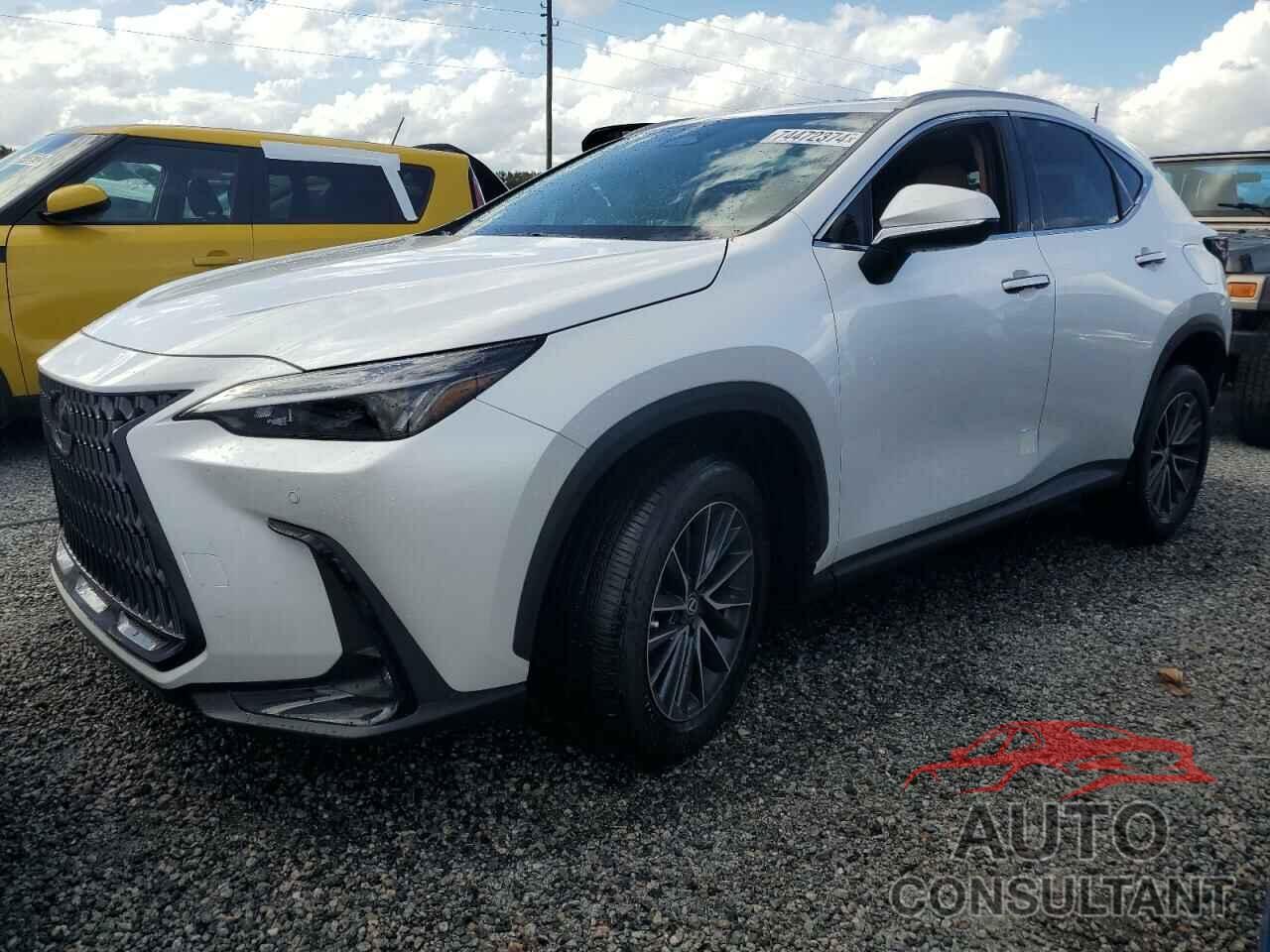 LEXUS NX 250 PRE 2024 - 2T2GDCAZ6RC014369