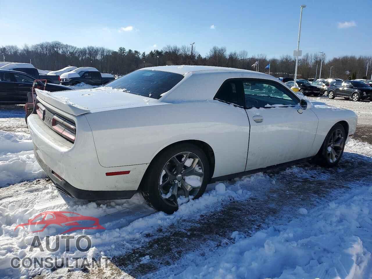 DODGE CHALLENGER 2016 - 2C3CDZAG3GH289399