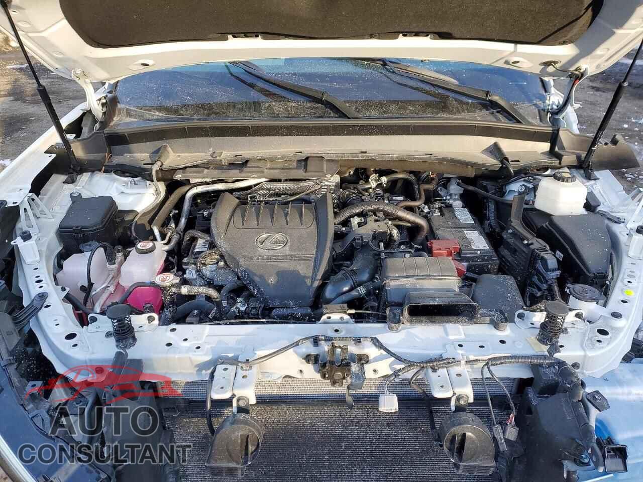 LEXUS UNKNOWN 2025 - 5TDAAAB6XSS028106