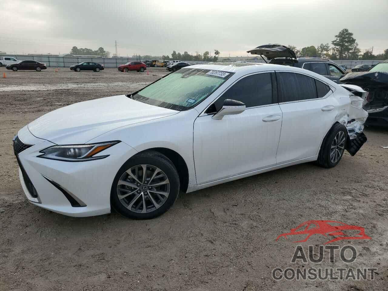 LEXUS ES 300H F- 2023 - 58ACZ1B10PU143326