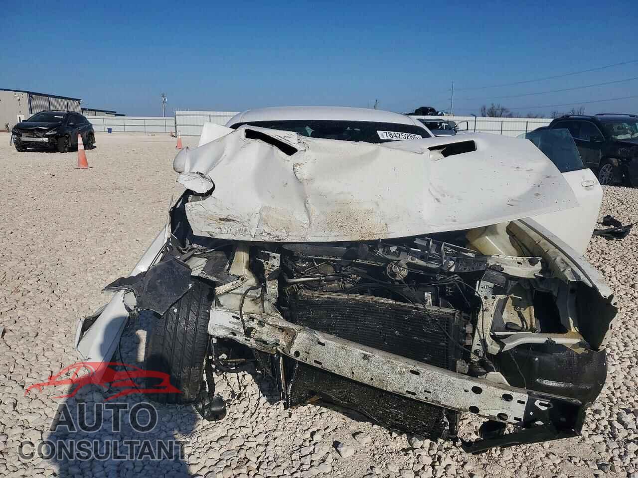 DODGE CHALLENGER 2016 - 2C3CDZAG7GH236544