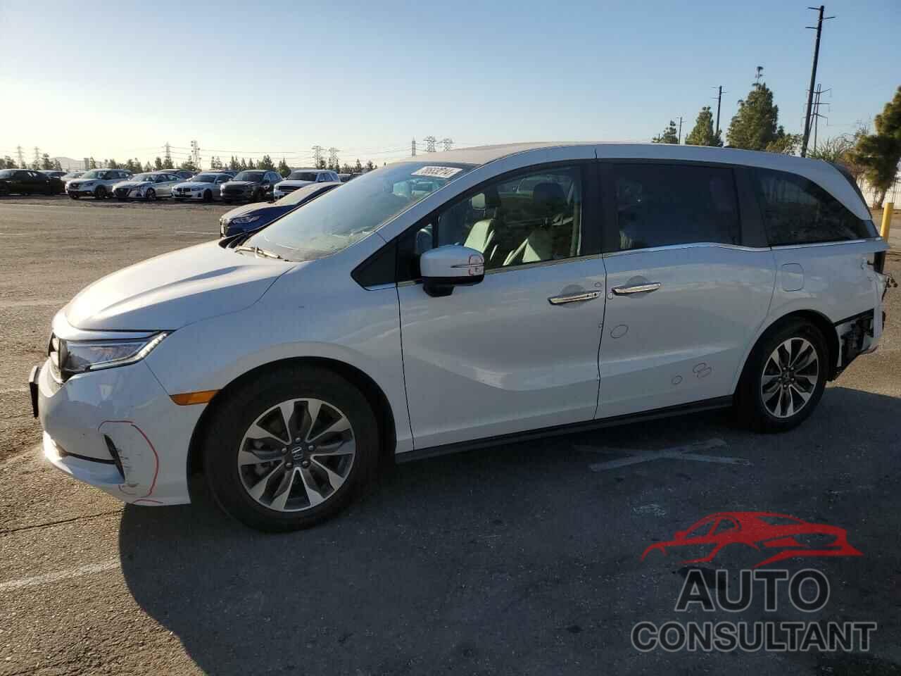 HONDA All Models 2021 - 5FNRL6H7XMB015275