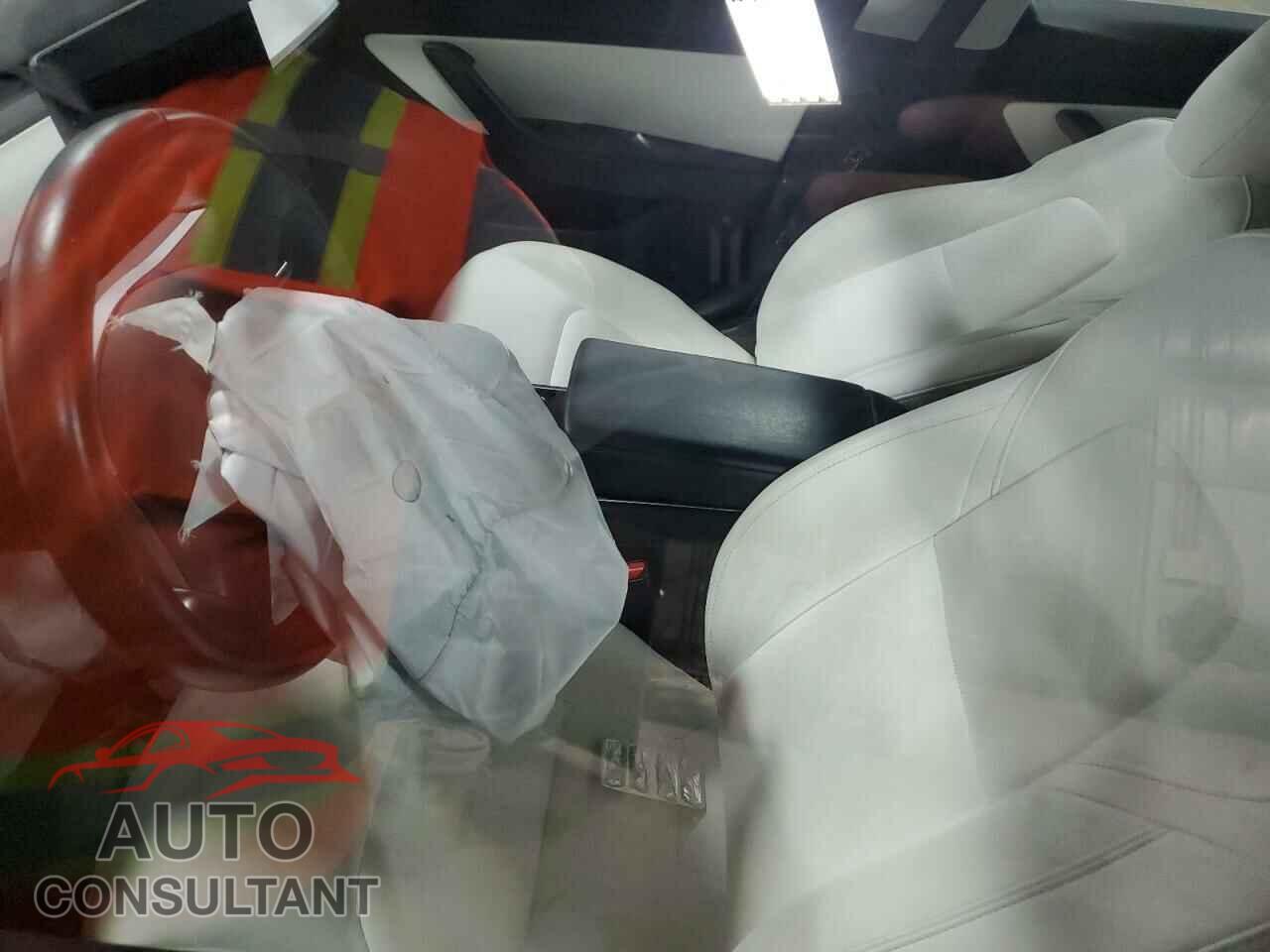 TESLA MODEL 3 2019 - 5YJ3E1EA5KF314964