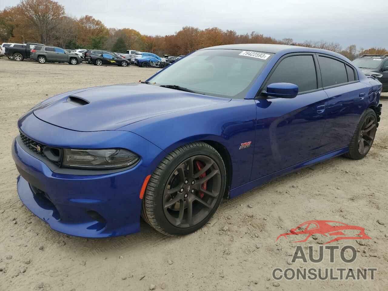 DODGE CHARGER 2020 - 2C3CDXGJ6LH183093