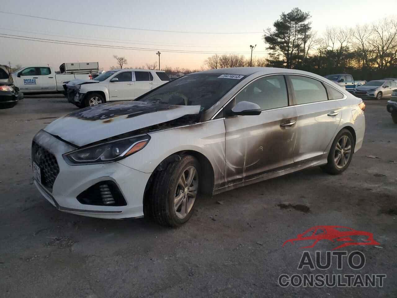 HYUNDAI SONATA 2019 - 5NPE34AF9KH754379