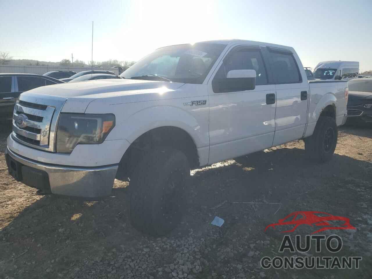 FORD F-150 2010 - 1FTEW1E89AFA72225