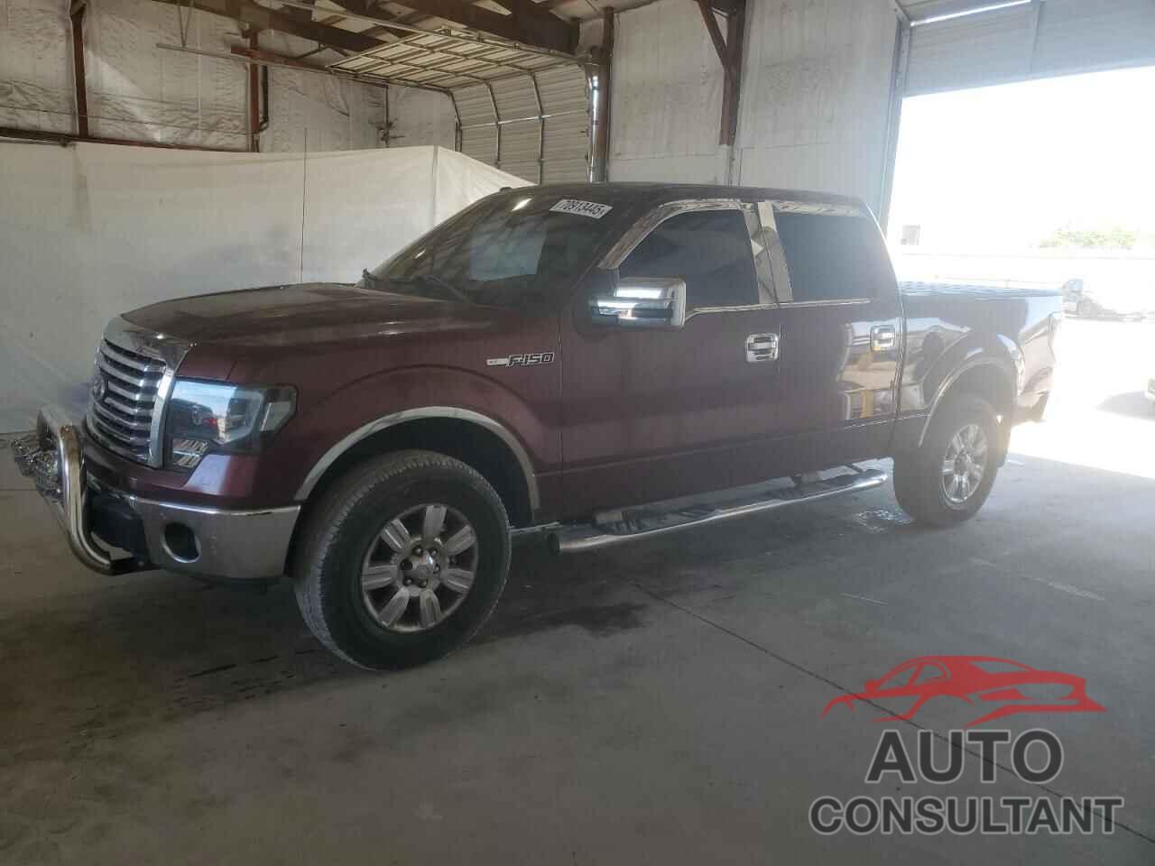 FORD F-150 2010 - 1FTEW1E81AFA51966