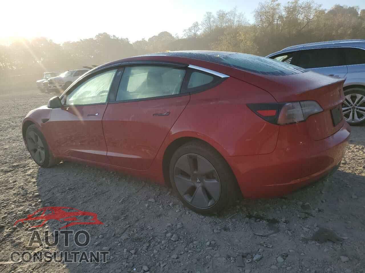 TESLA MODEL 3 2019 - 5YJ3E1EA7KF394848