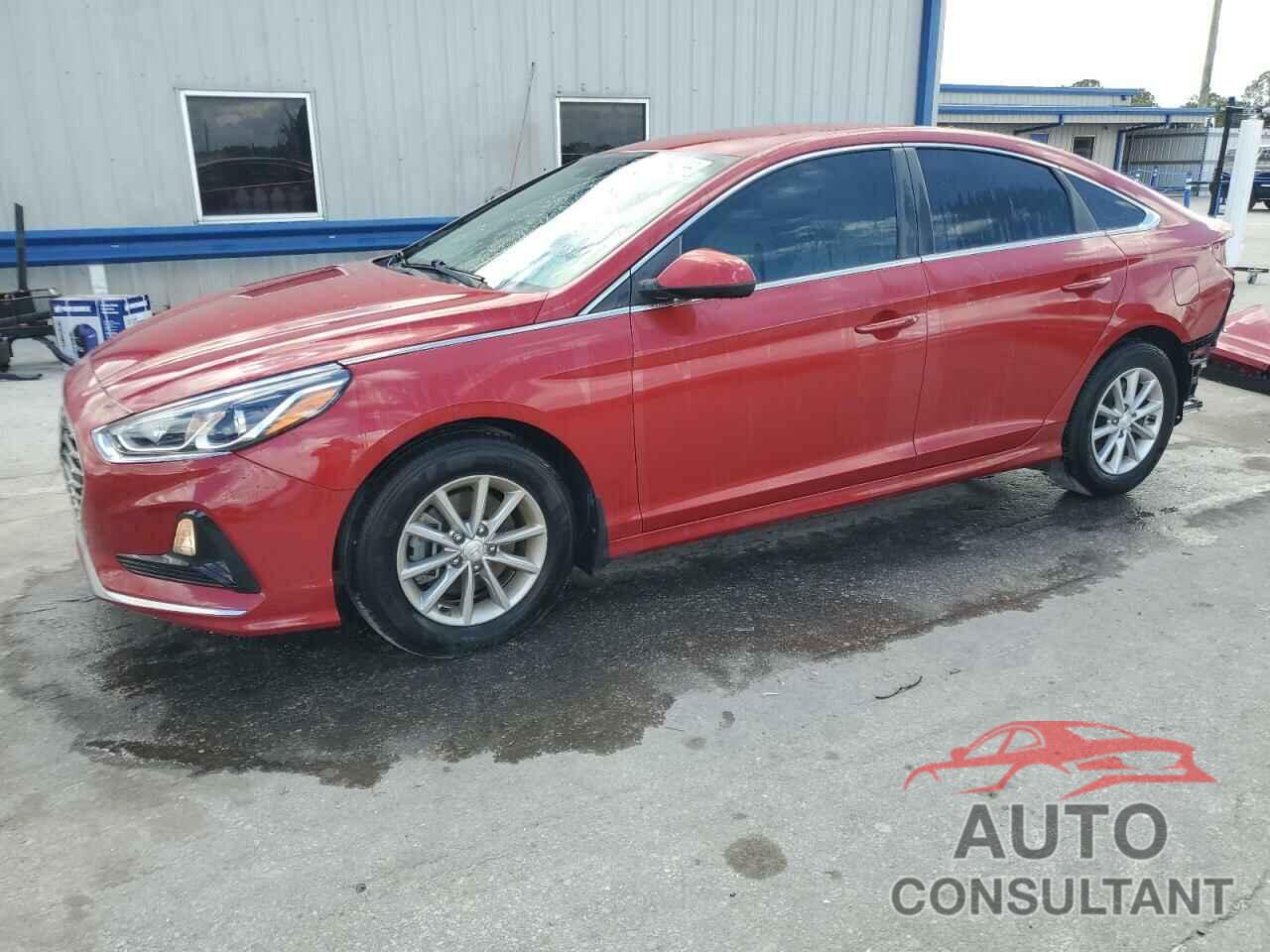 HYUNDAI SONATA 2019 - 5NPE24AF6KH806084