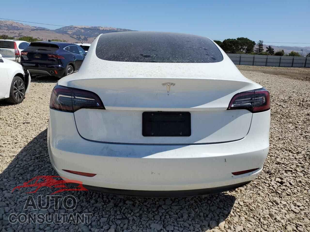 TESLA MODEL 3 2020 - 5YJ3E1EA7LF613633