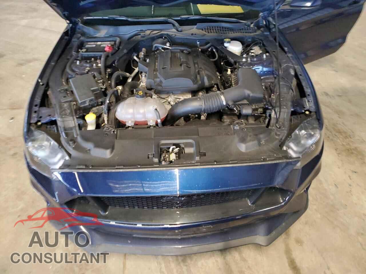 FORD MUSTANG 2019 - 1FATP8UH9K5188357