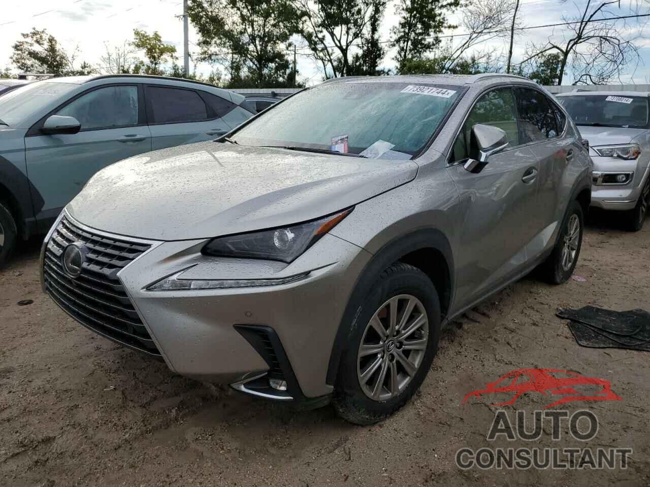 LEXUS NX 2019 - JTJYARBZ9K2150466