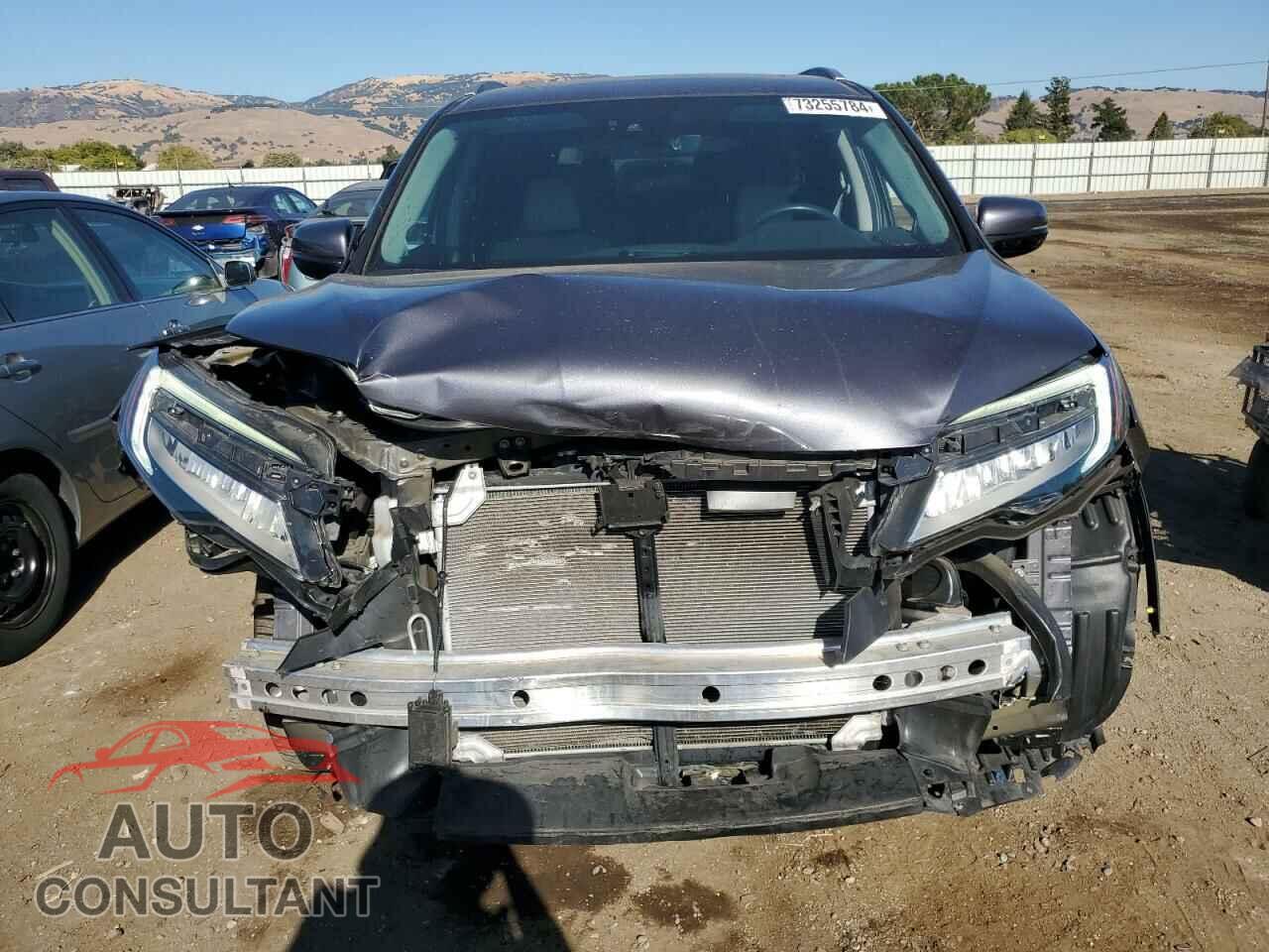 HONDA PILOT 2019 - 5FNYF6H04KB022449