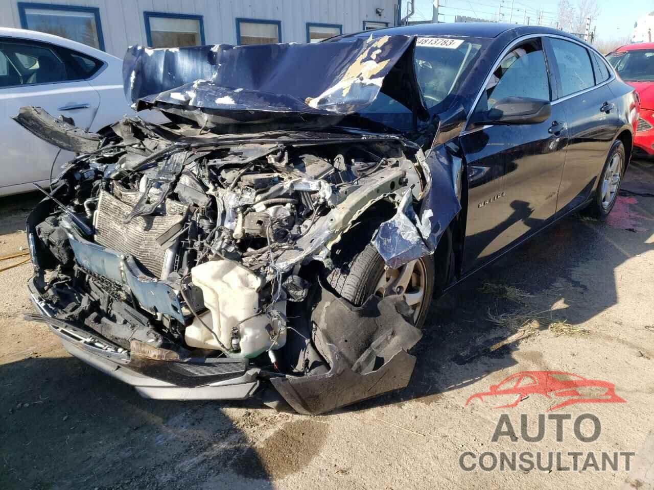 CHEVROLET MALIBU 2016 - 1G1ZB5ST7GF352384