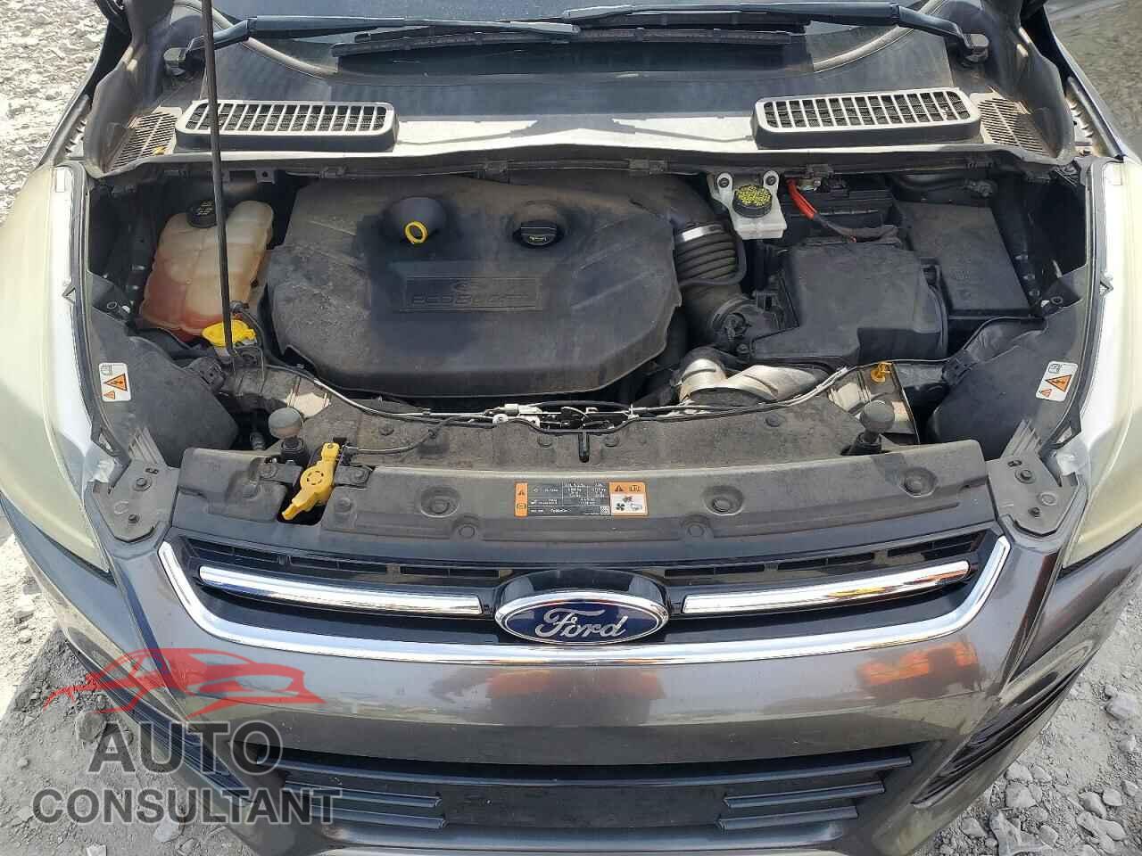 FORD ESCAPE 2016 - 1FMCU0J99GUB19534