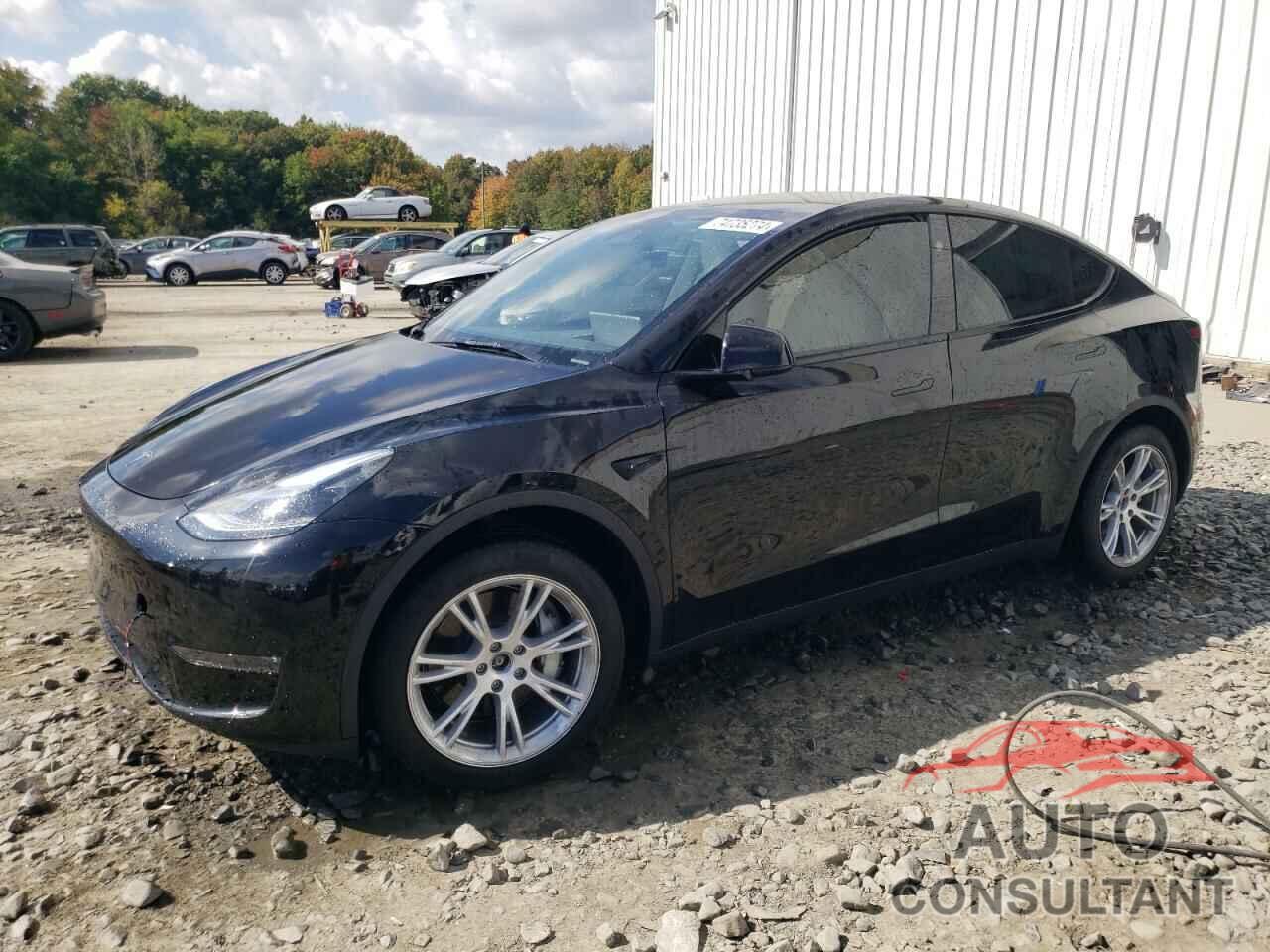 TESLA MODEL Y 2024 - 7SAYGDEE3RA227935