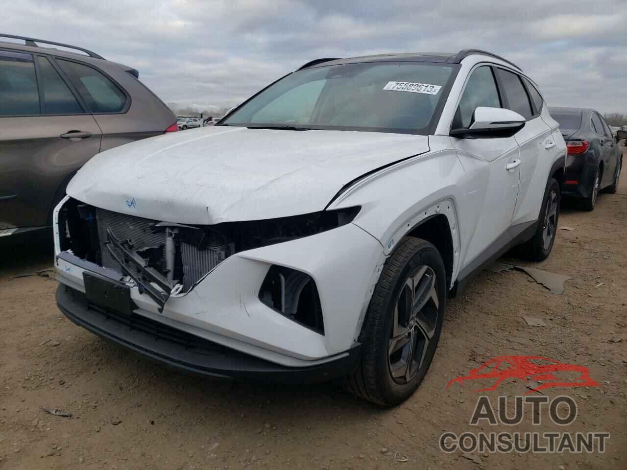 HYUNDAI TUCSON 2023 - KM8JFCA11PU104989